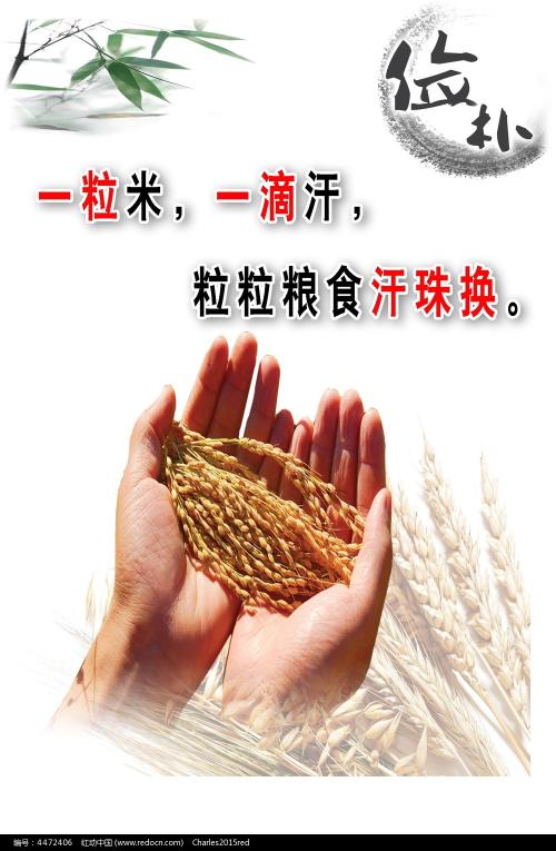 哪里能办丹佛大都会州立大学文凭